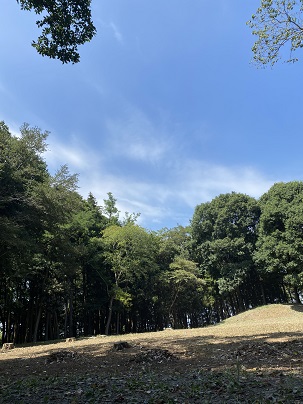 画像に alt 属性が指定されていません。ファイル名: IMG_3879-1.jpg